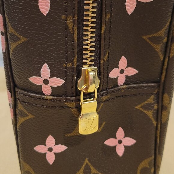 Louis Vuitton Monogram Canvas Toiletries/Makeup Bag - Custom Painted - Picture 4 of 6
